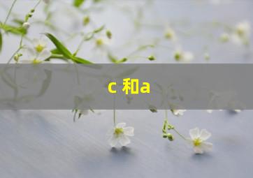 c 和a